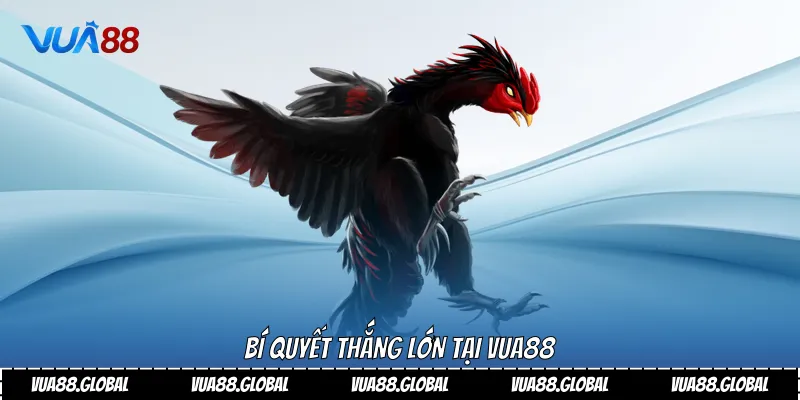 Bí quyết thắng lớn tại VUA88