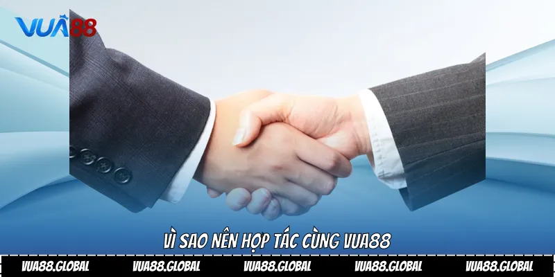Vì sao nên hợp tác cùng Vua88